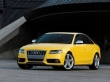 Дорогой сердцу Audi S4 DTM Line 