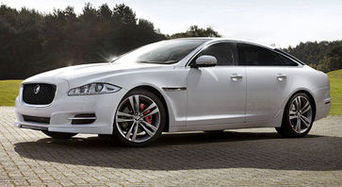 Jaguar не хочет оставаться в стороне