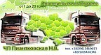 Чп Пиантковская
