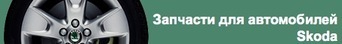skoda Биз