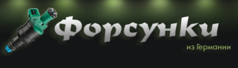Форсунки 24