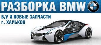 bdv&compani