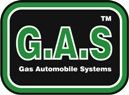 ООО «БИЗ-АВТО», ТМ «G.A.S»