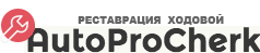 AutoProCherk